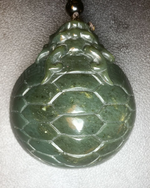 龙头龟