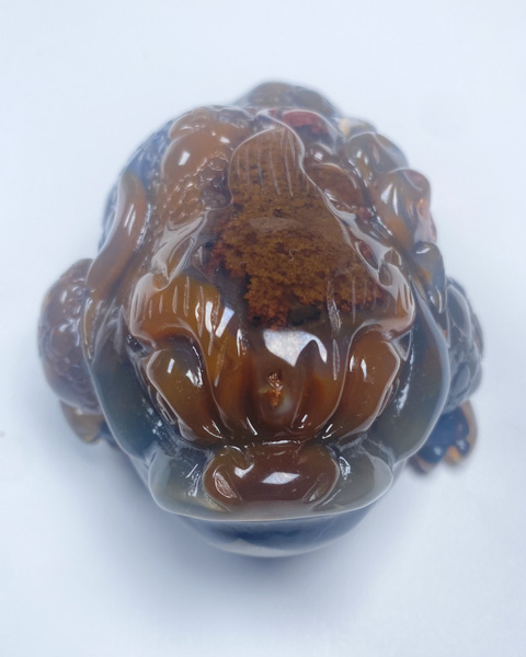 三脚金蟾