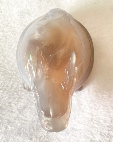 龙龟