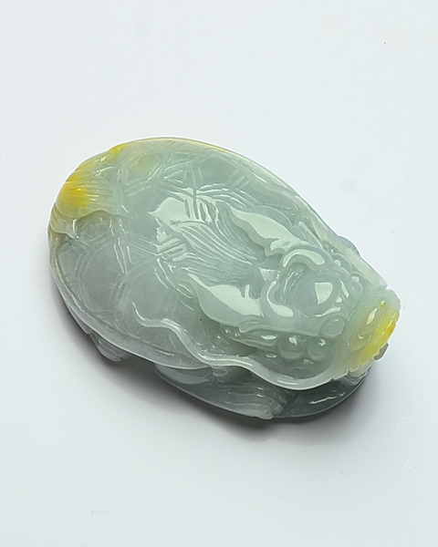 龙龟