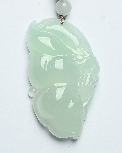 蝴蝶仙子