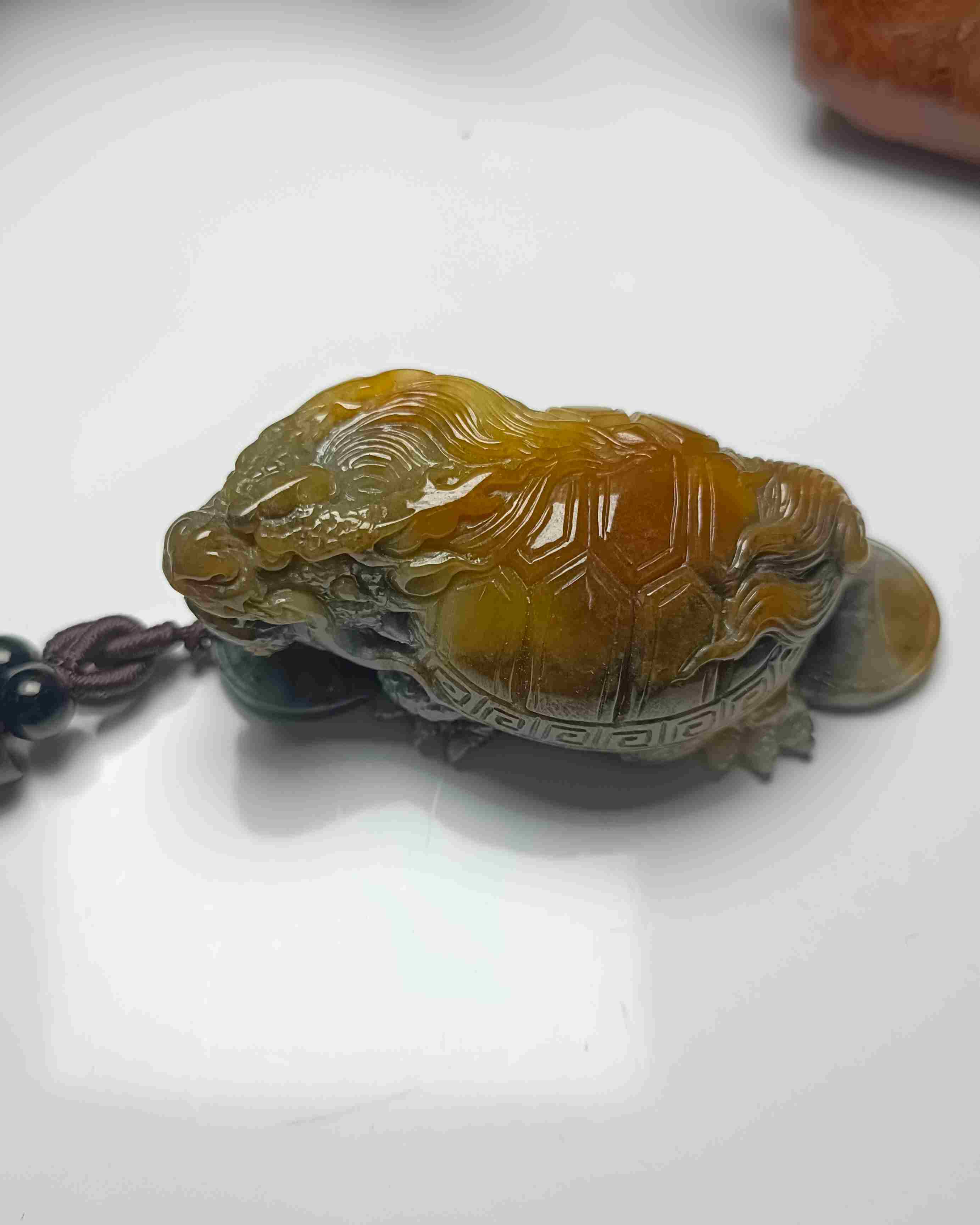 龙龟