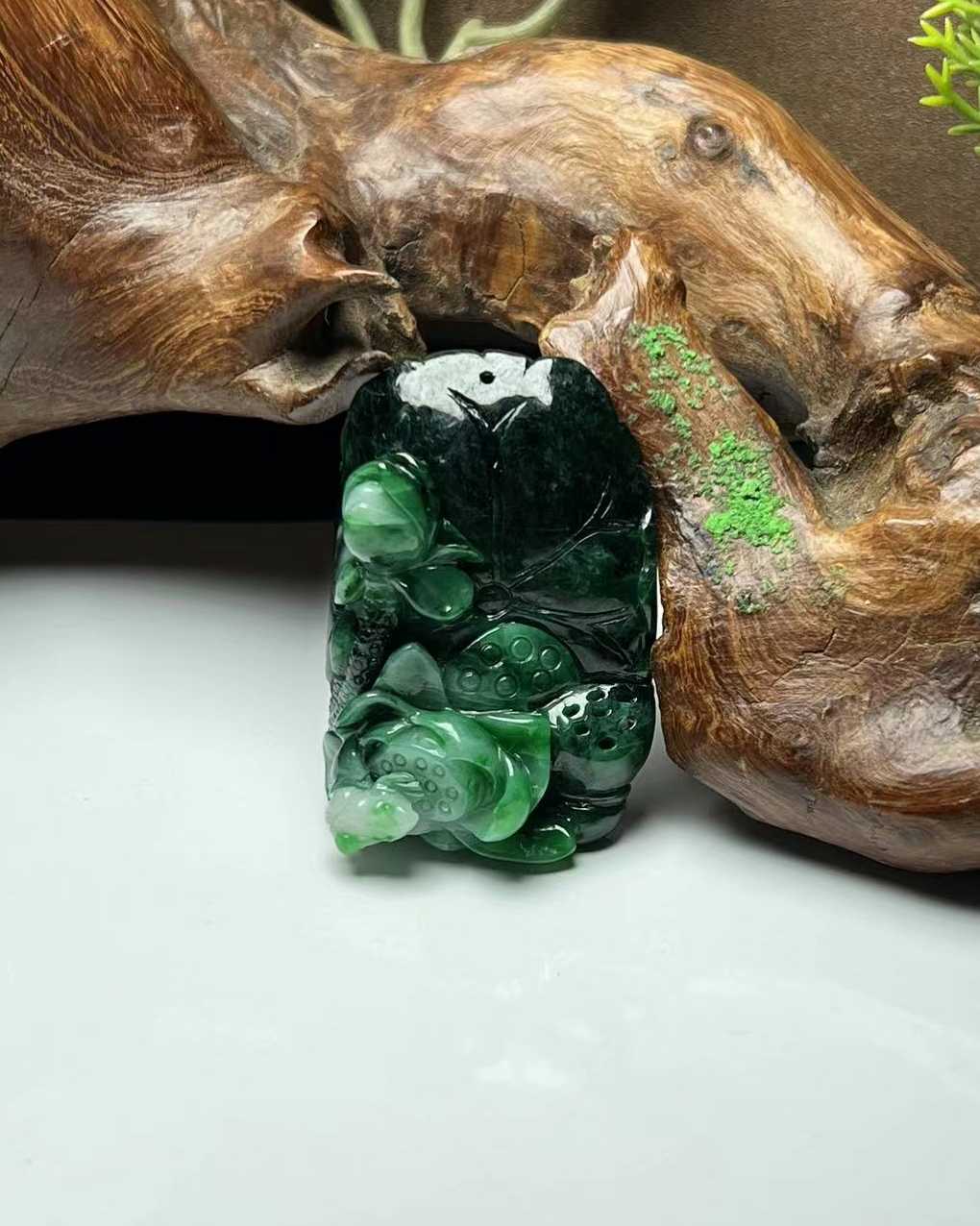 荷荷美美