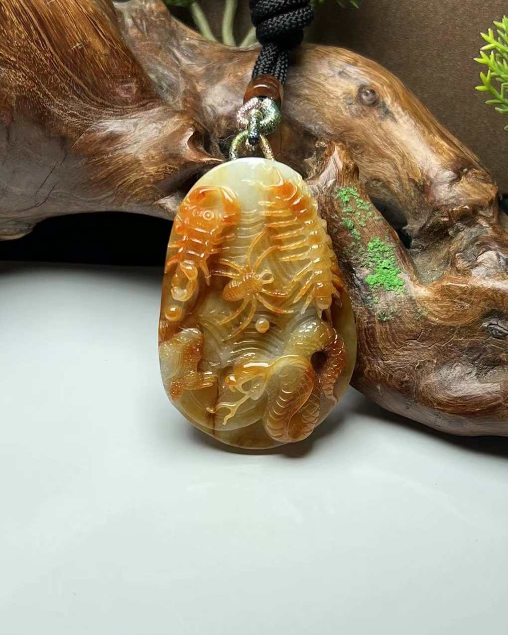 百毒不侵