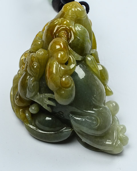 三角金蟾