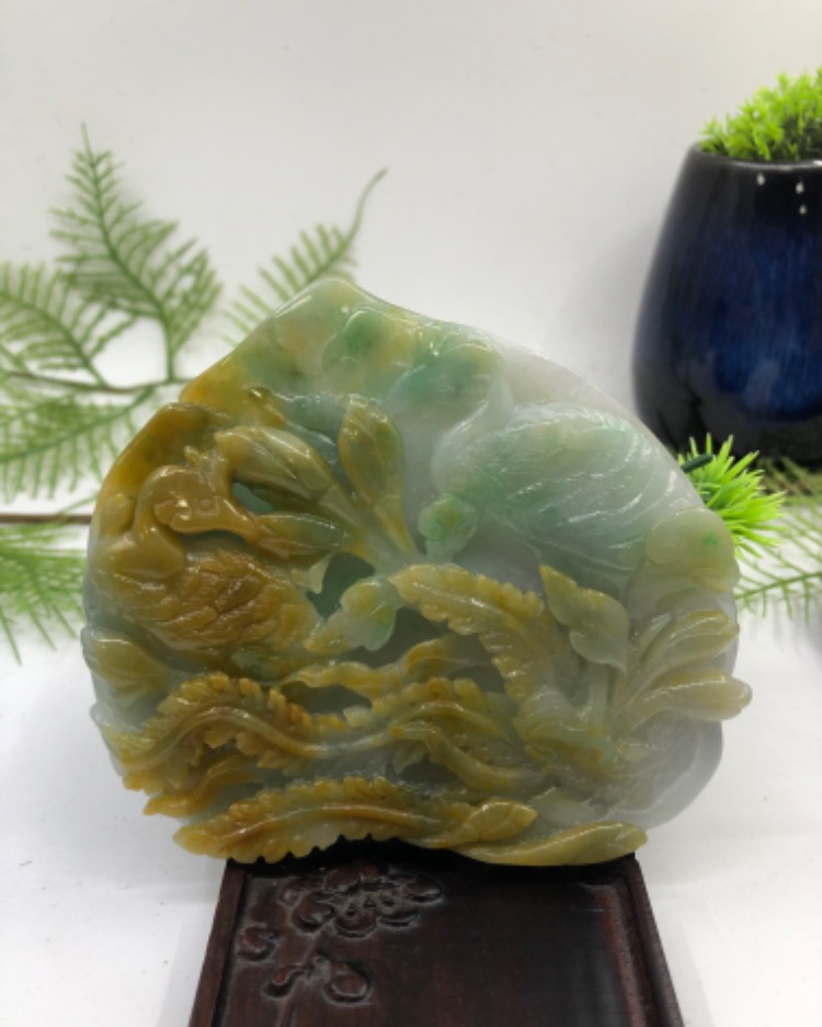 凤凰于飞