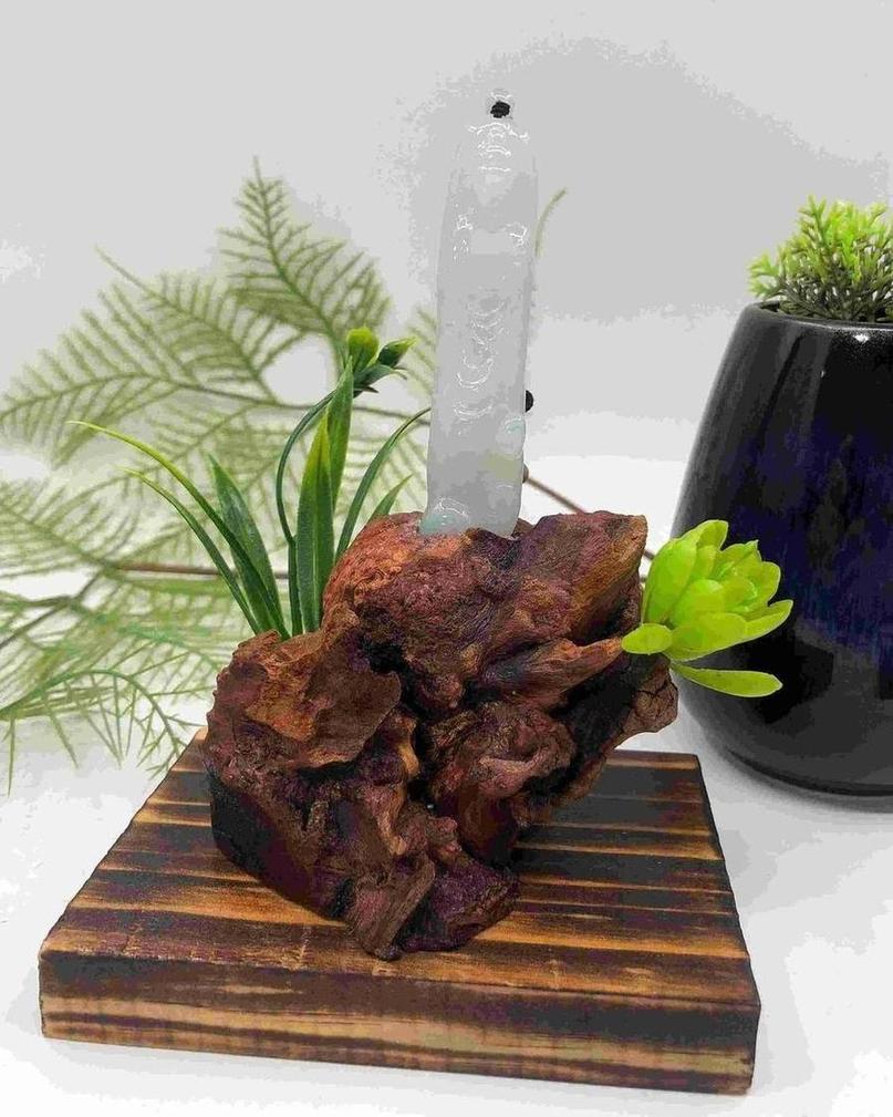 普渡众生