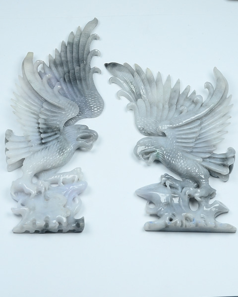 雄鹰展翅