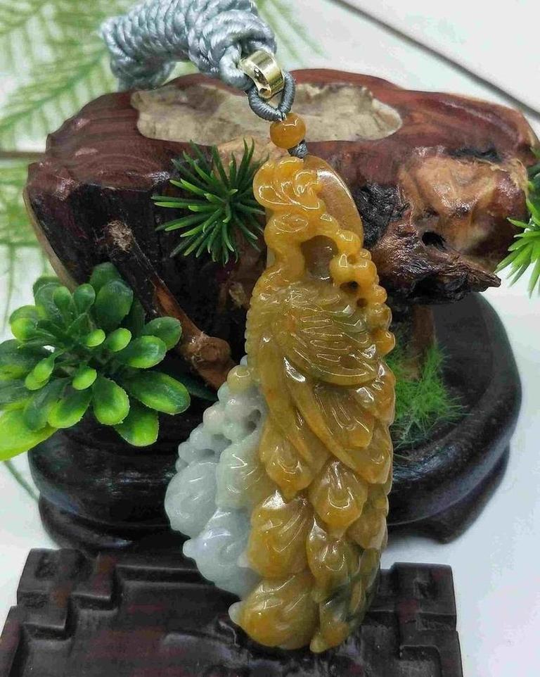 君临天下