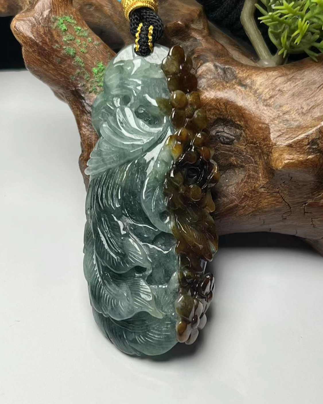 凤舞九天