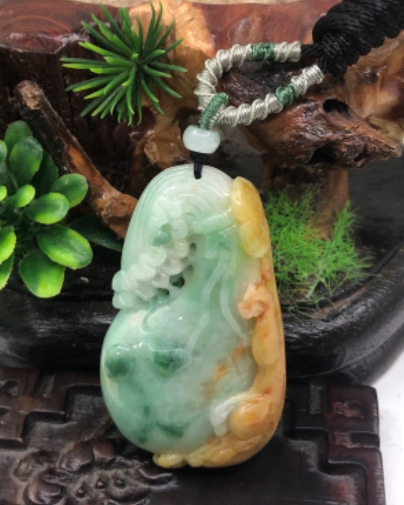袋袋有钱