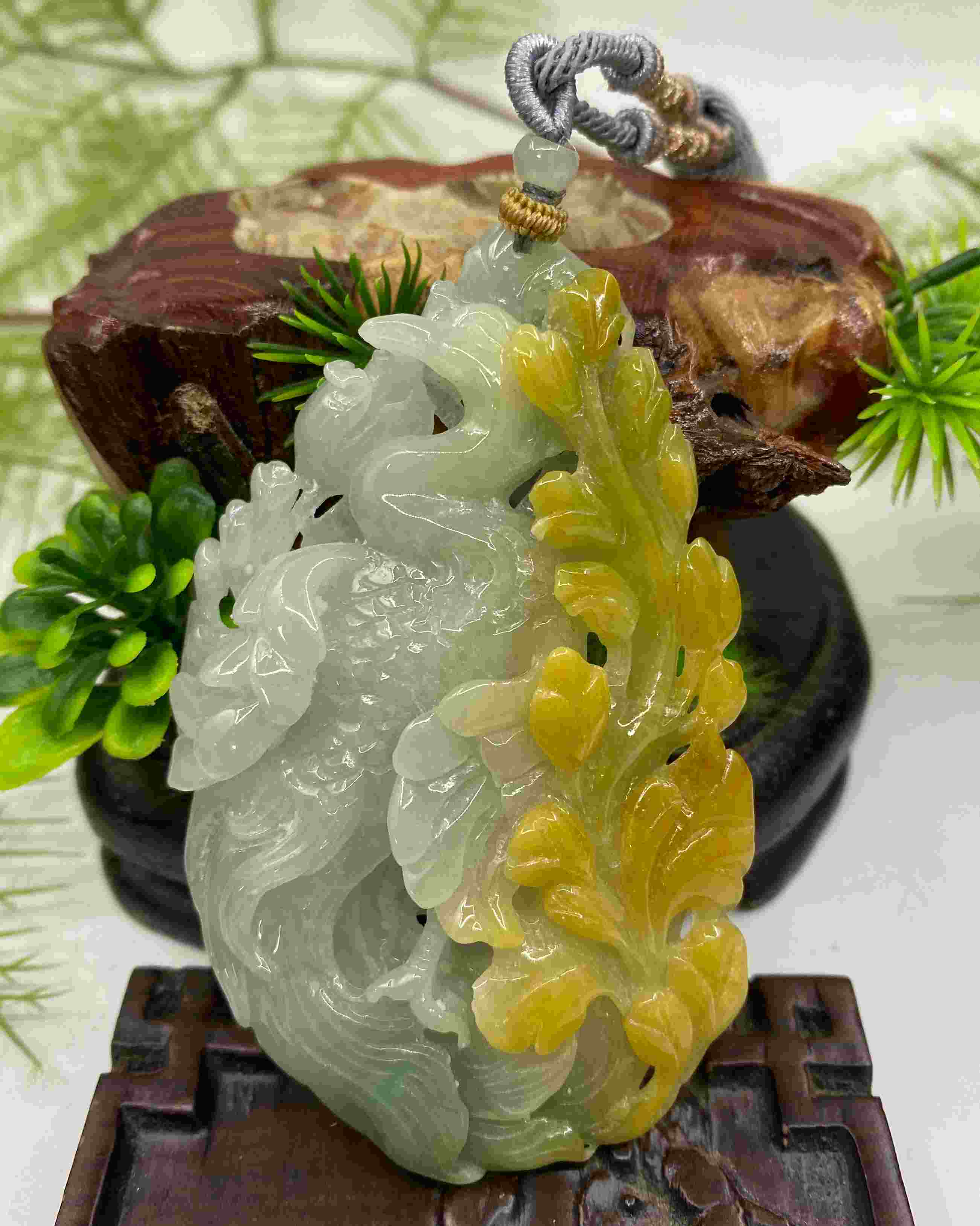 君临天下