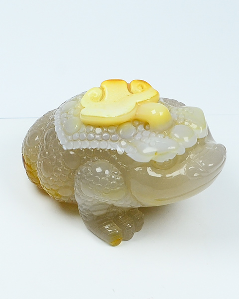 三角金蟾