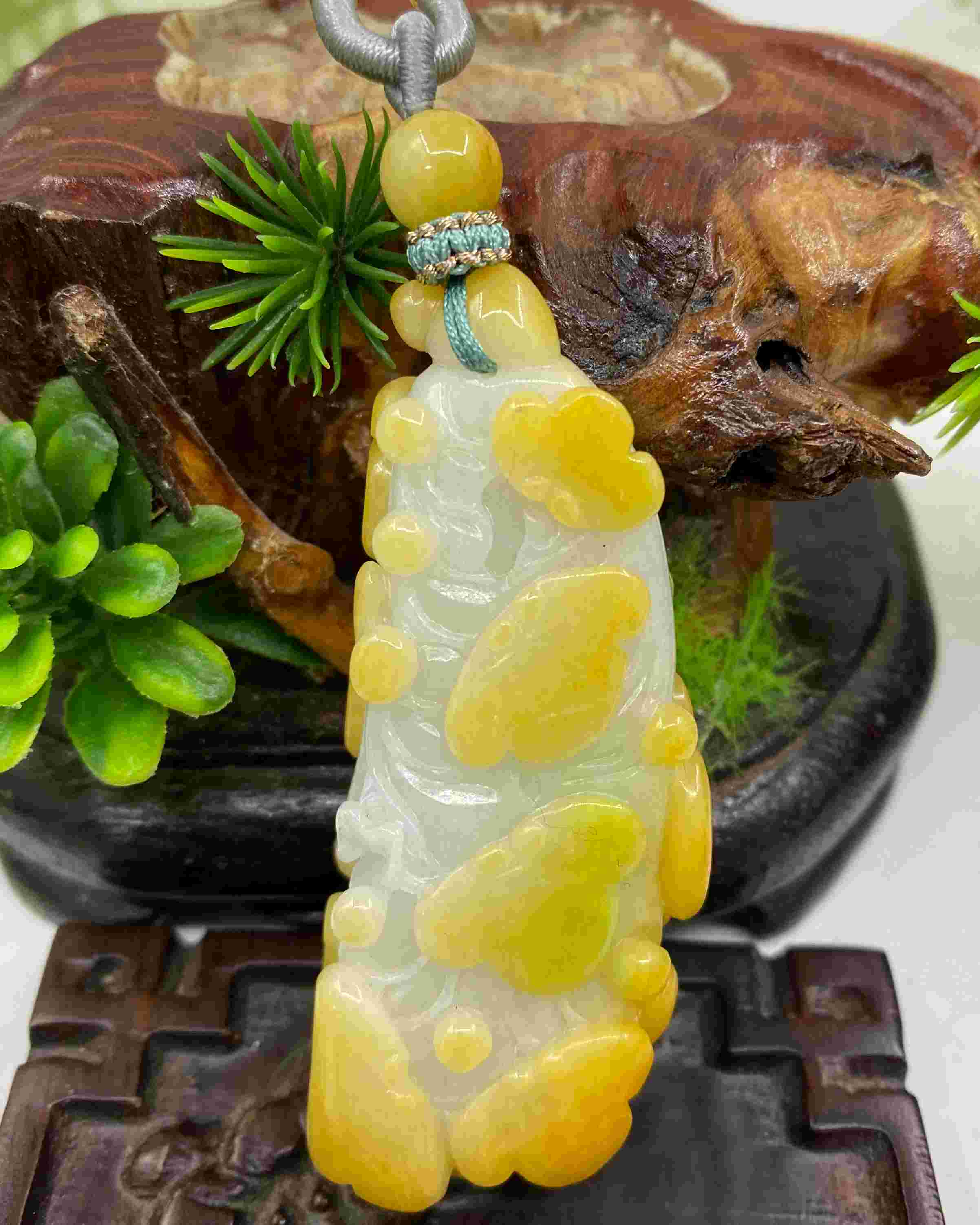 百财聚来