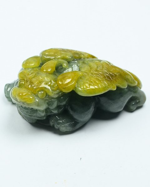 飞黄腾达
