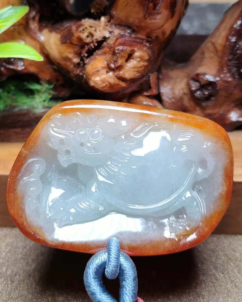 荣归故里