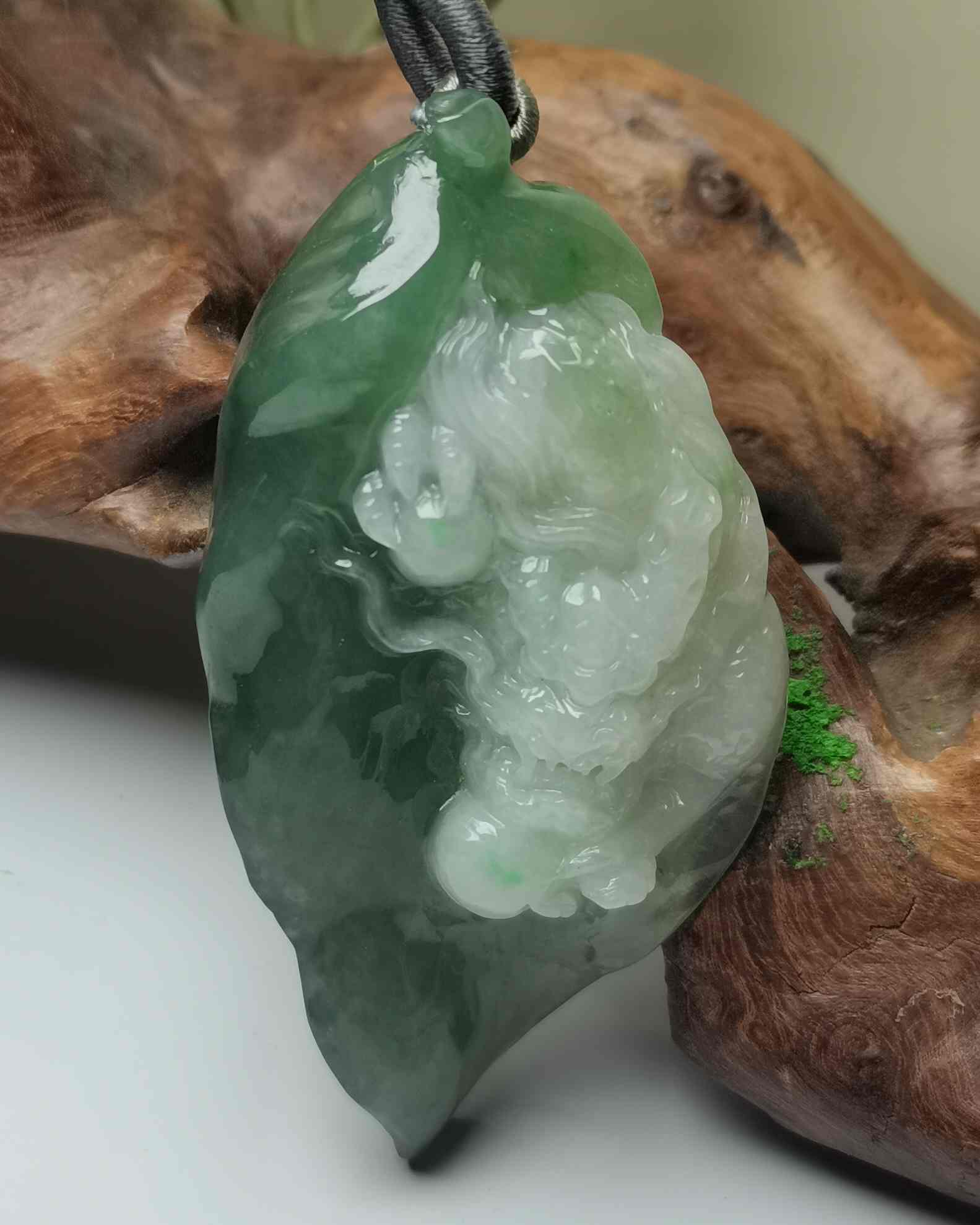 龙游天下