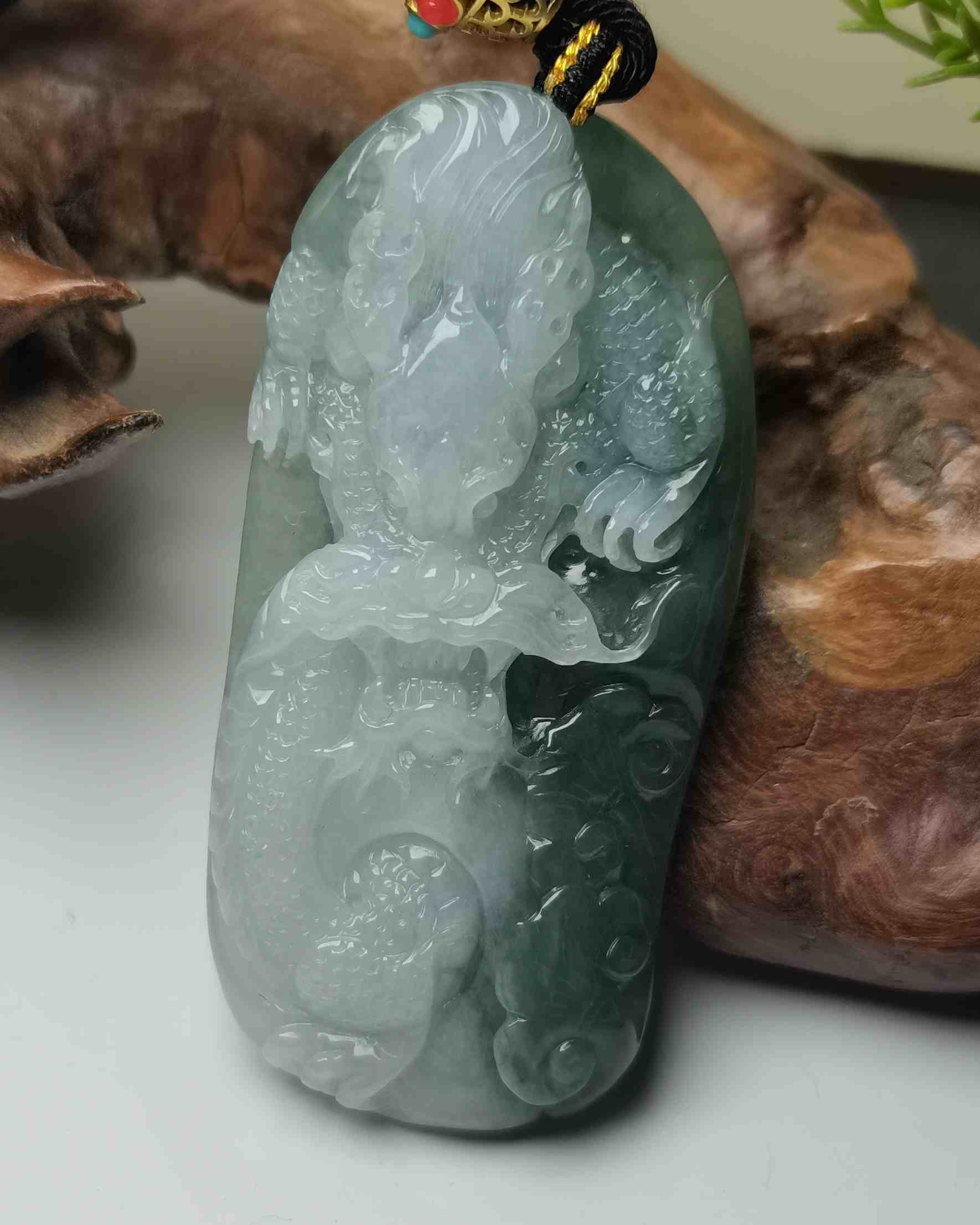 龙游天下
