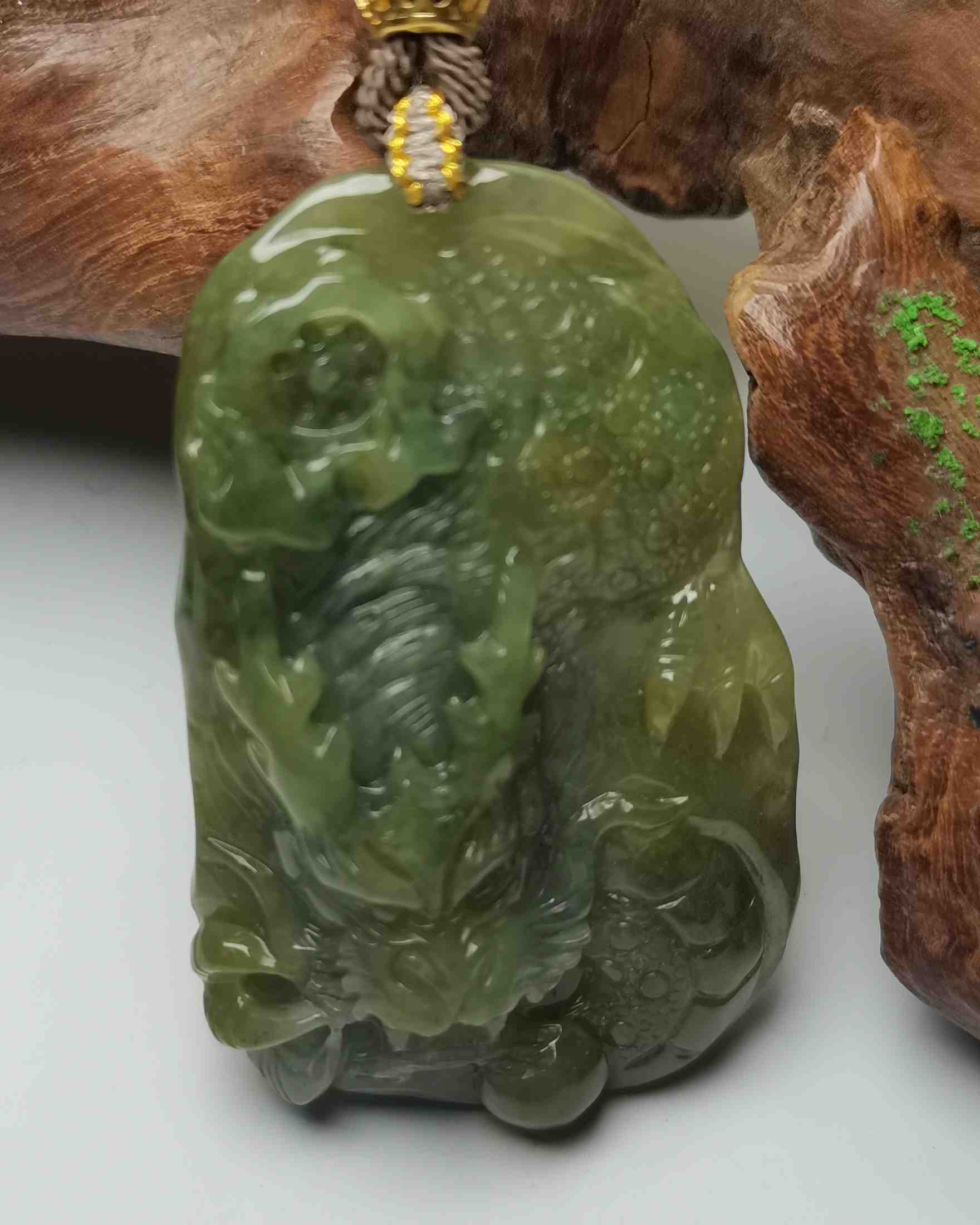 龙游天下