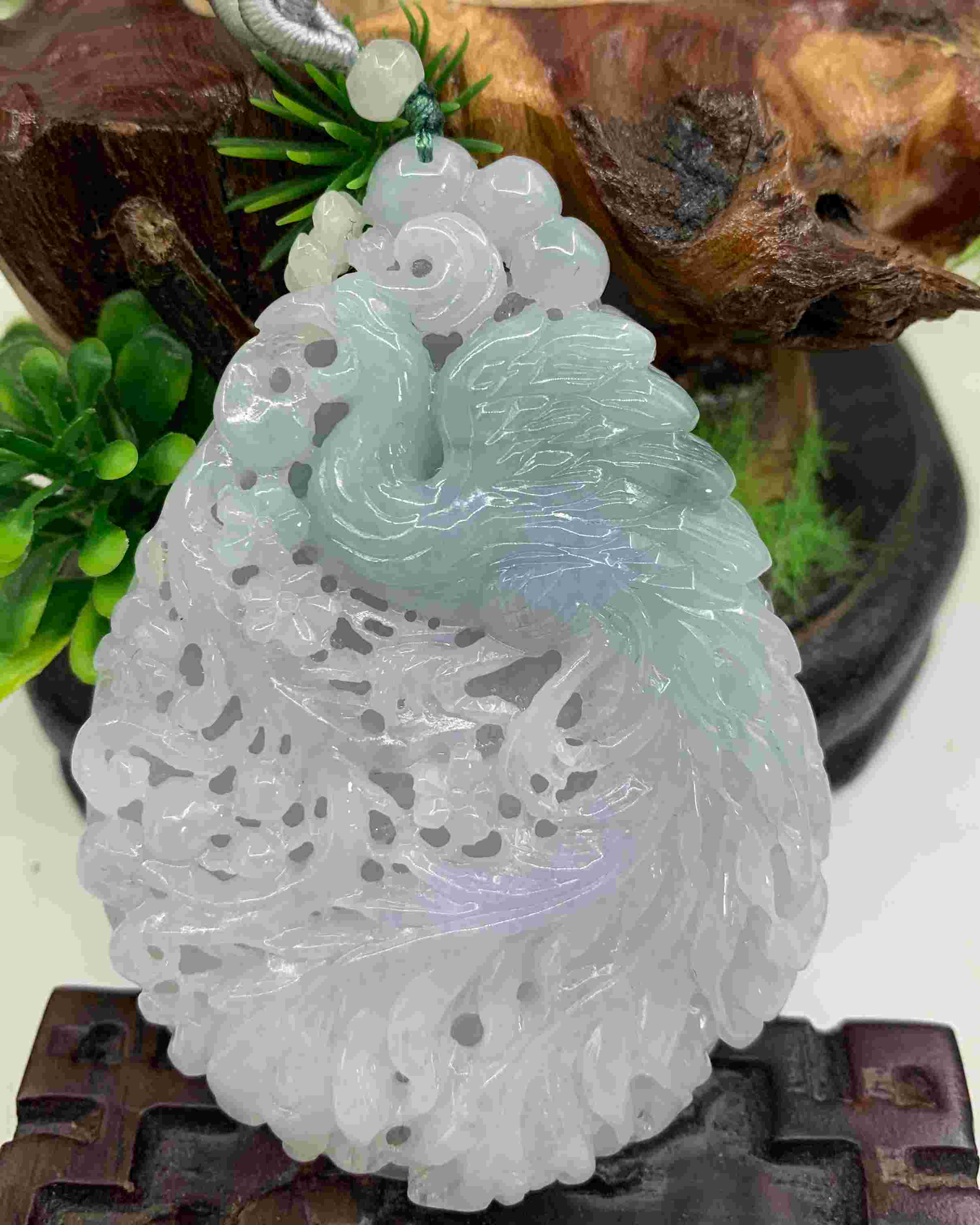 君临天下