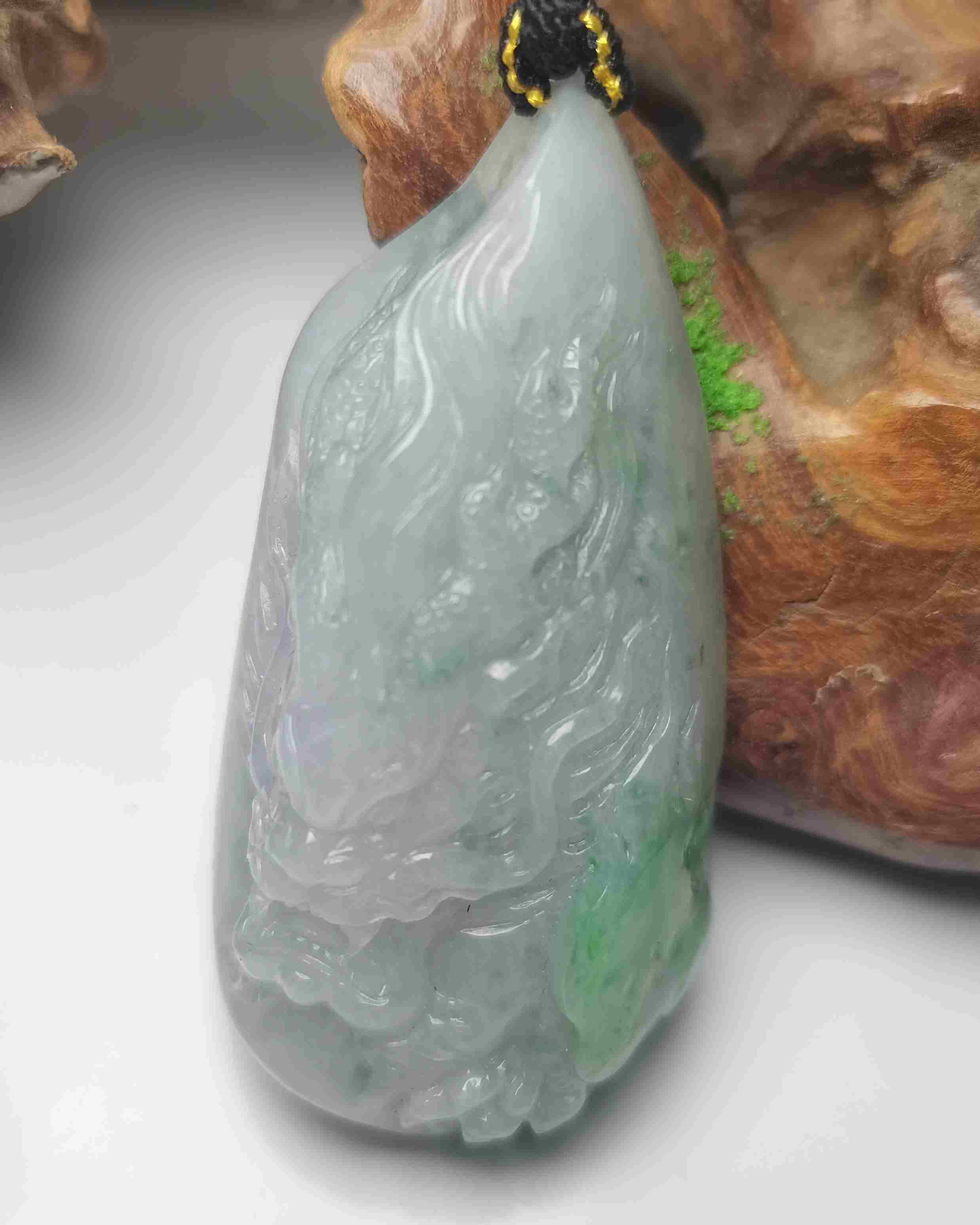 龙游天下
