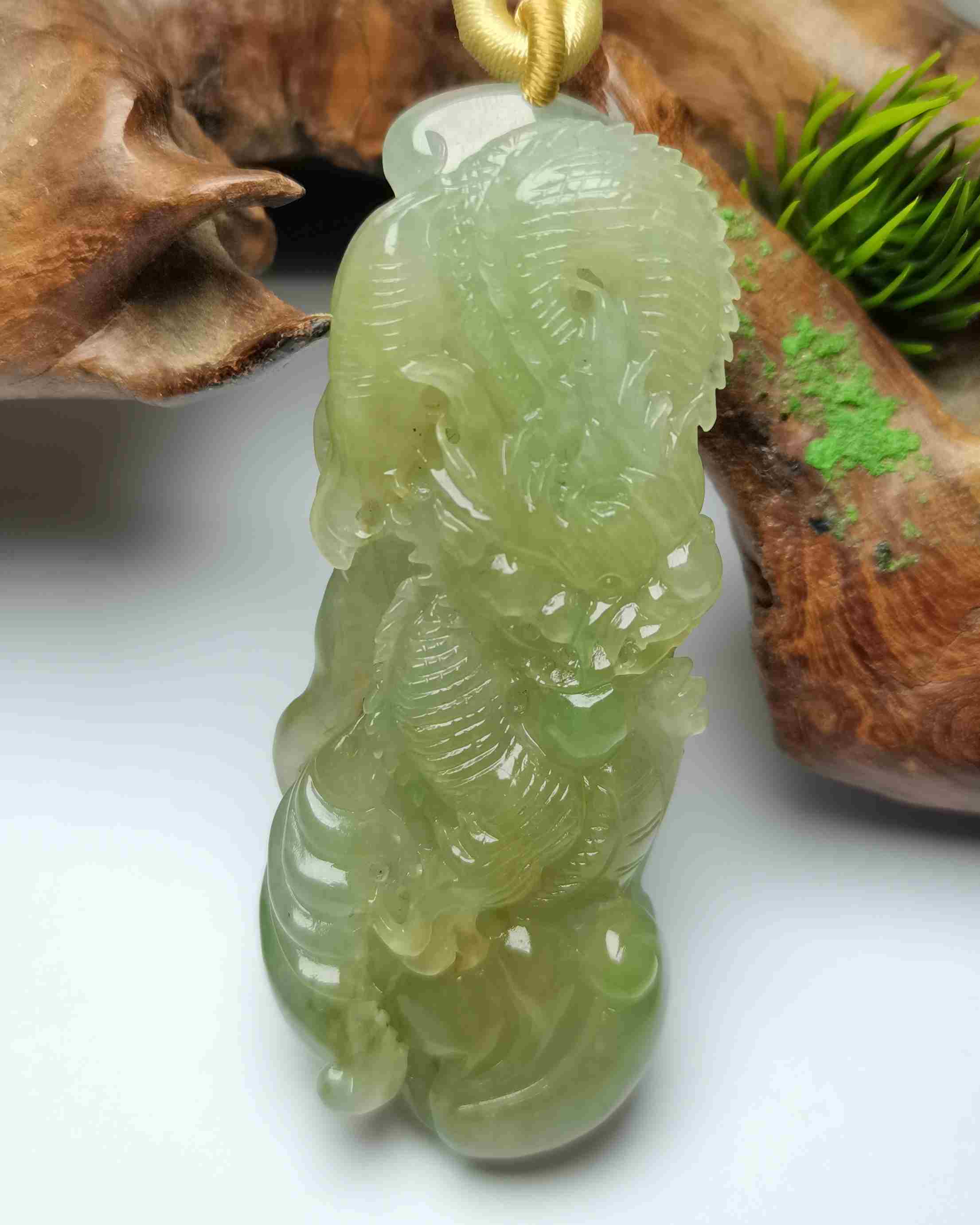 龙腾四海