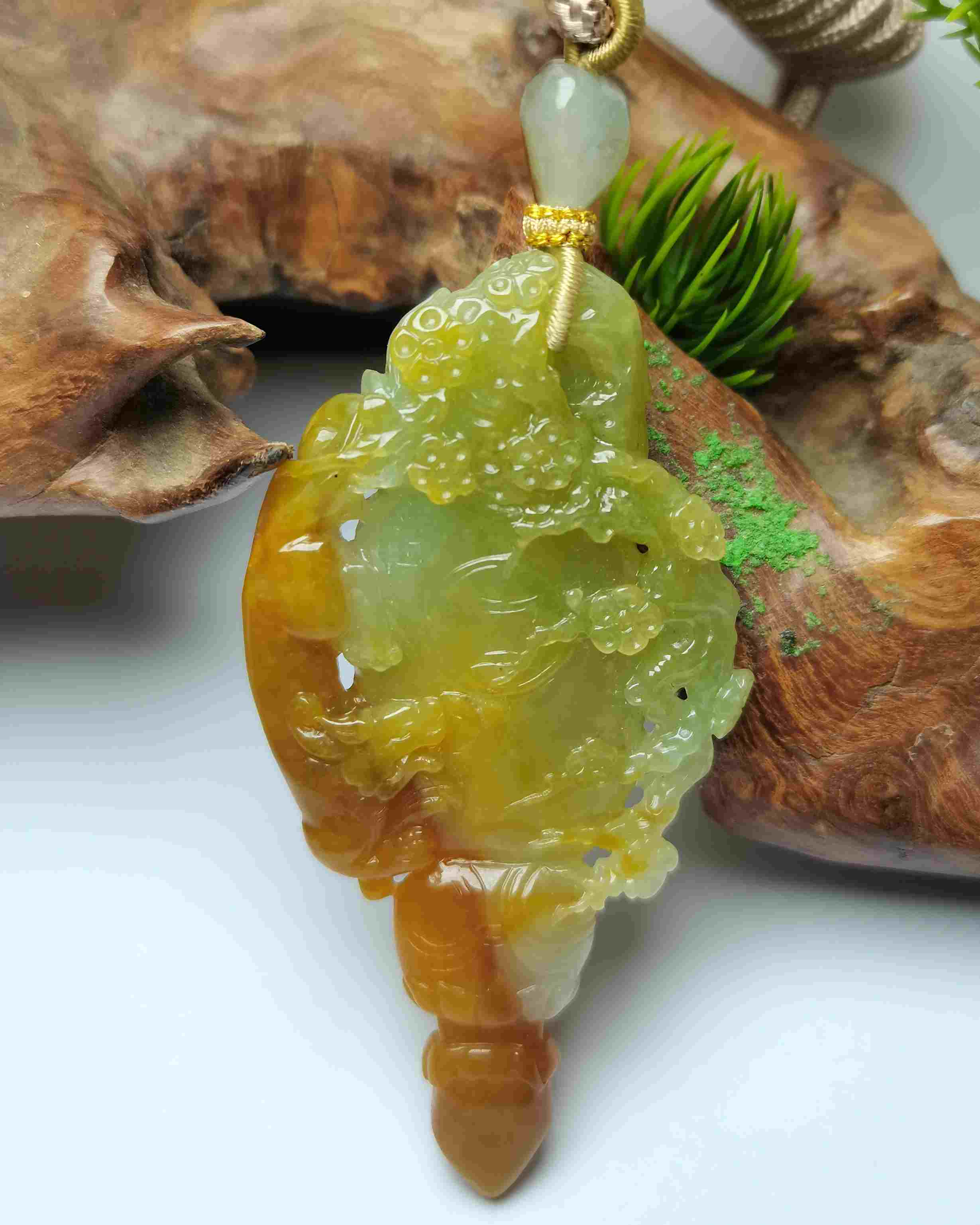 望子成龙