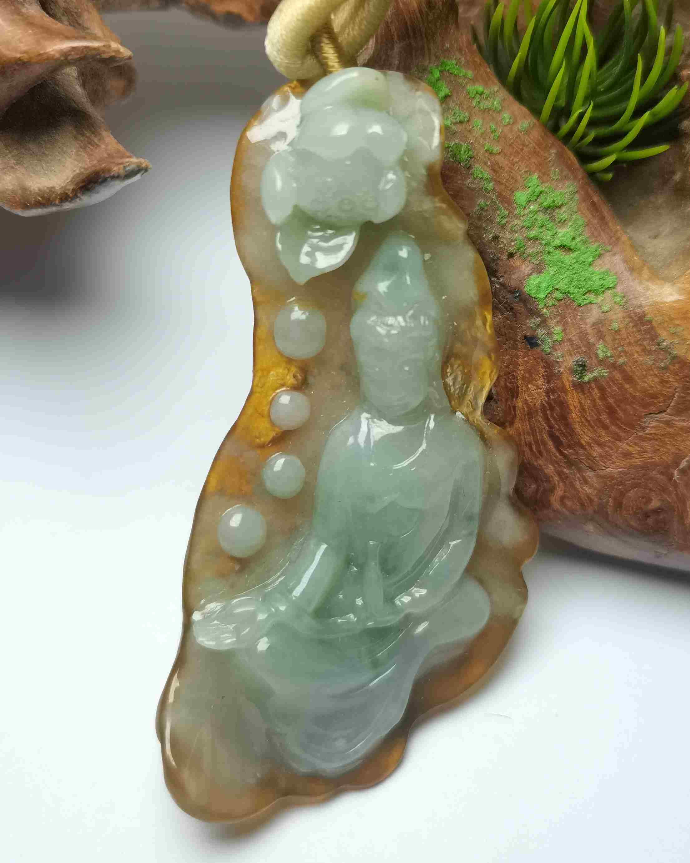 观世天下