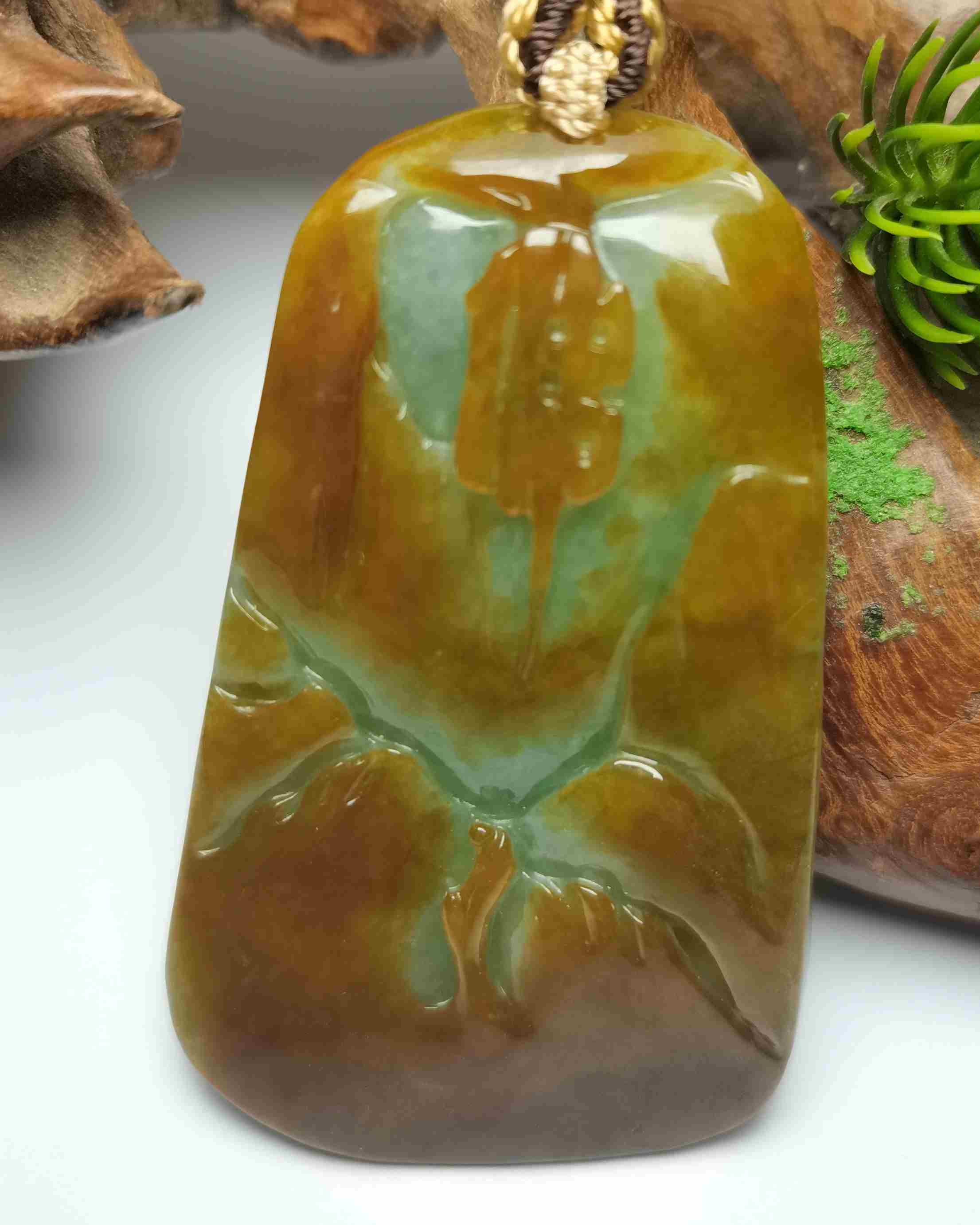 佛观天下