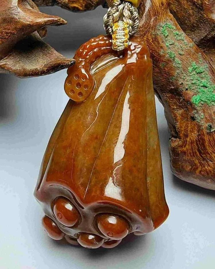 蓬荜生辉