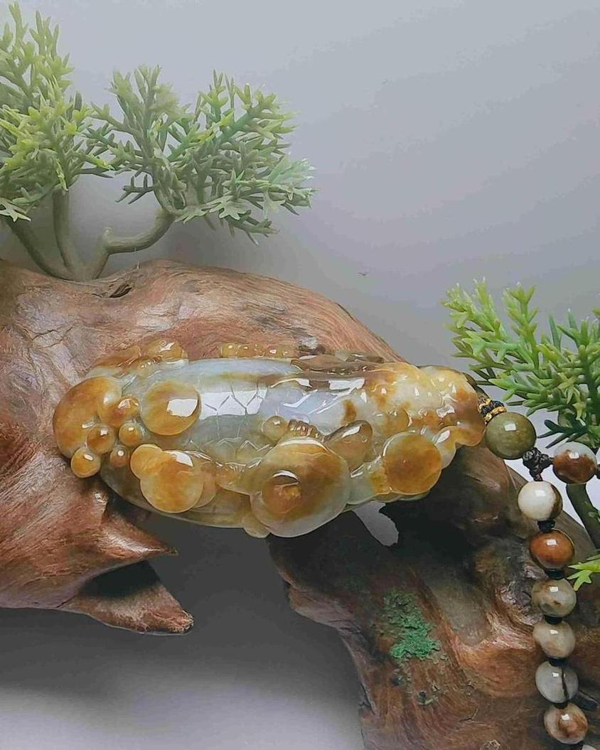 荣归故里