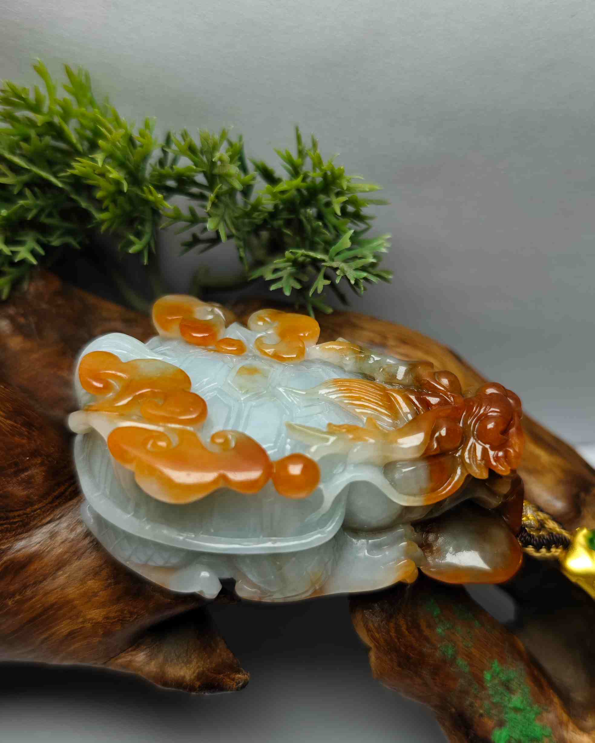 招财纳福
