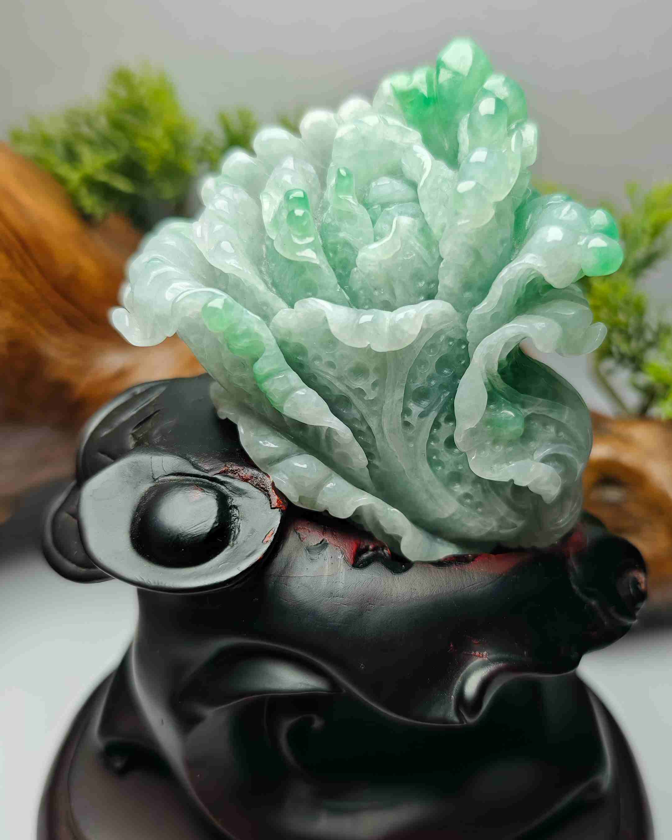 百事来财