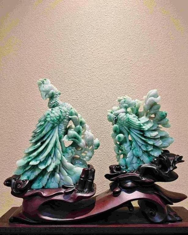 凤舞九天