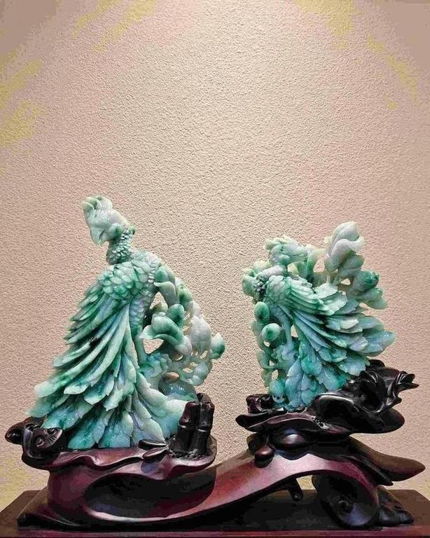 凤舞九天