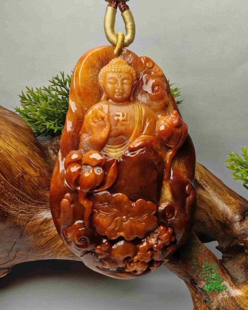 佛观天下