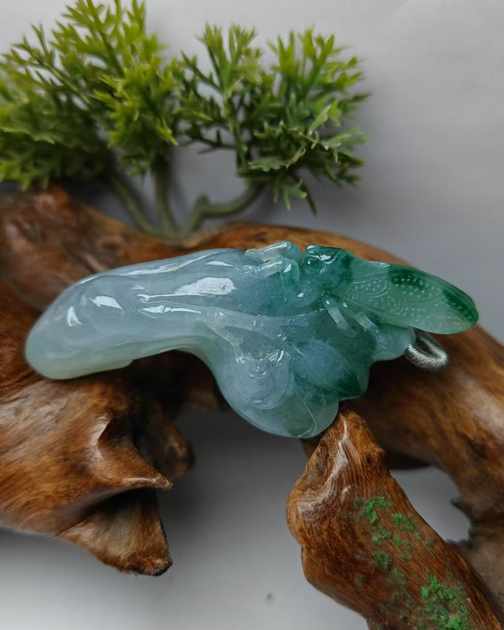 一鸣惊人