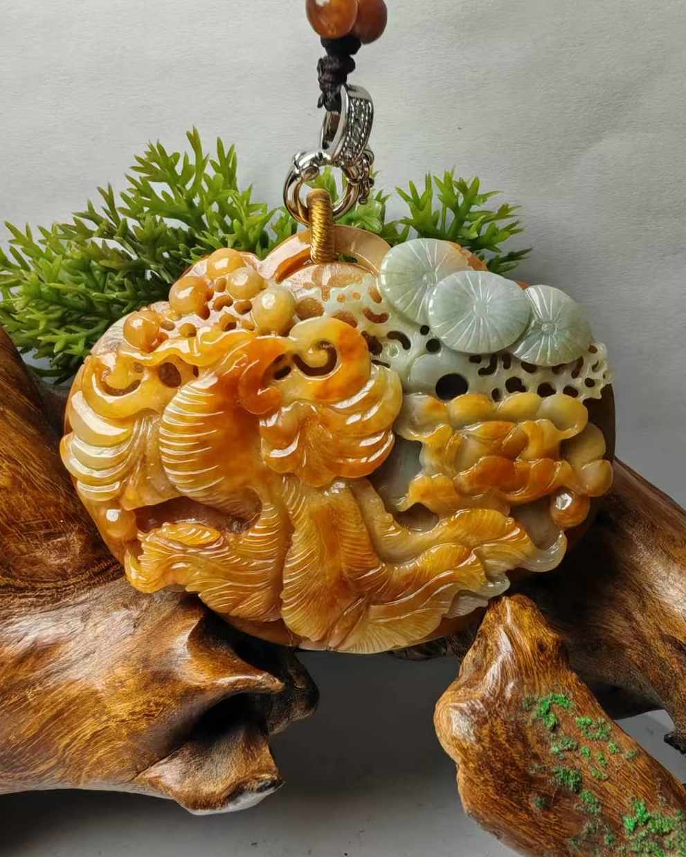 凤凰于飞