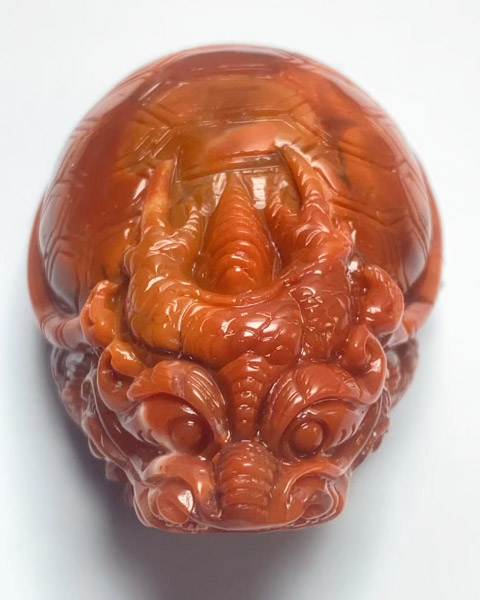 龙龟