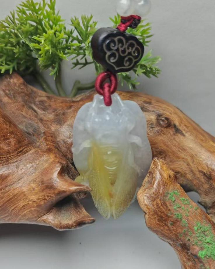 一鸣惊人