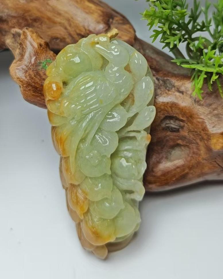 凤舞九天