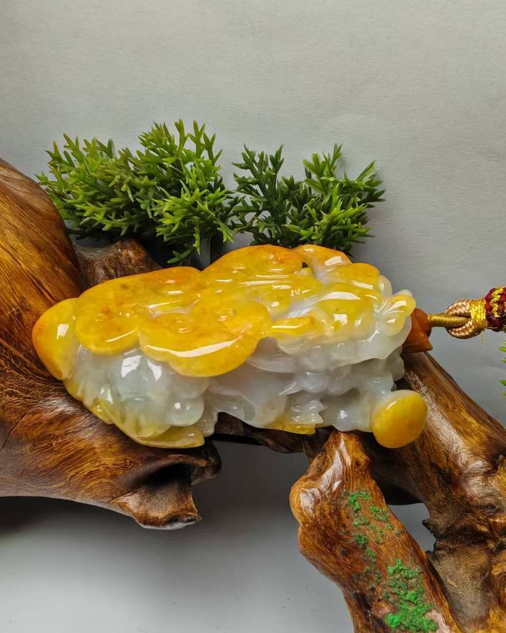 招财纳福